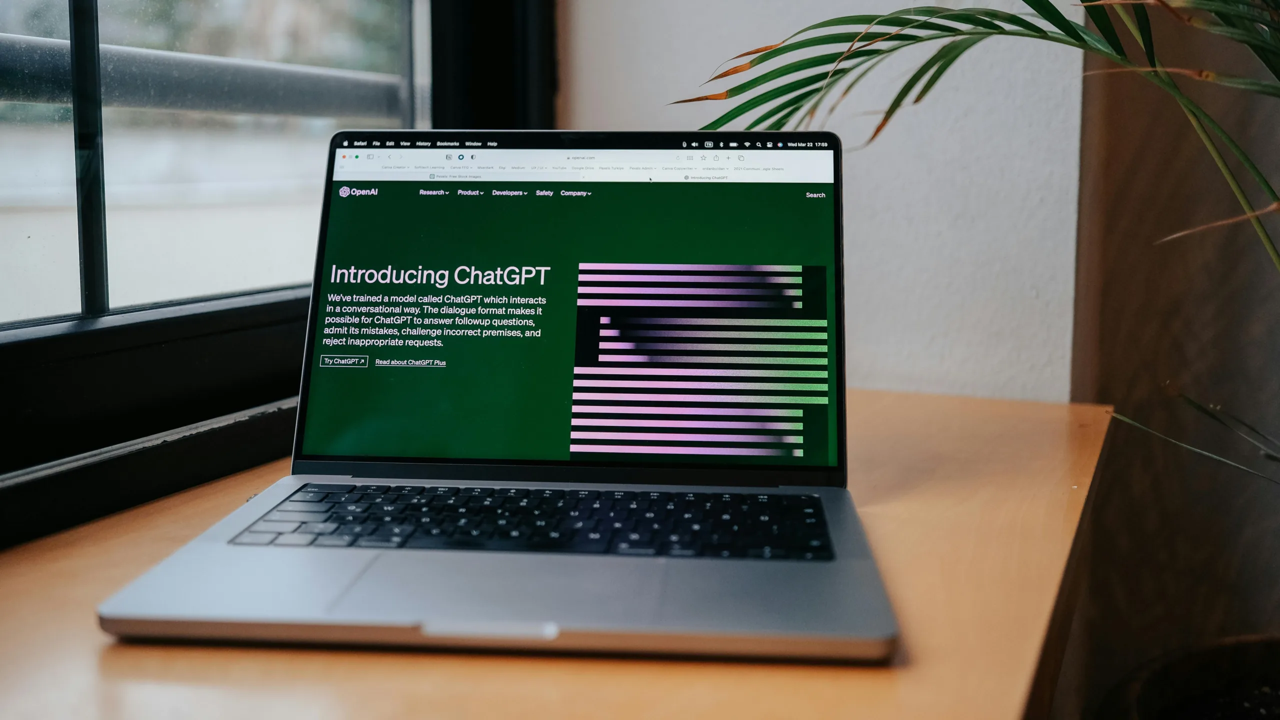 Seo Vs Ai Search Optimization For Therapists And Practices